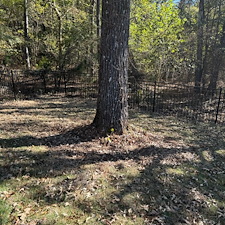 Pine-Straw-Installation-Oxford-MS 9